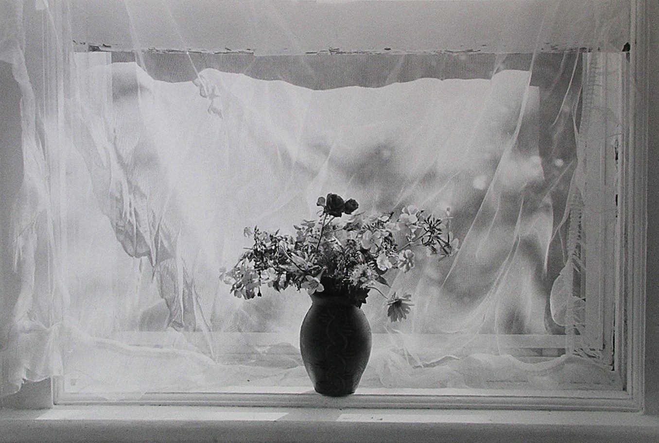 Flower in Vase in front of Window with Curtain - Holden Luntz Gallery