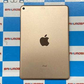 iPad mini 2019 (第5世代) 訳あり・ジャンク 8,999円 | ネット最安値の