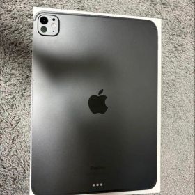 iPad Pro 11インチ (M4) 2024 新品 123,500円 中古 99,999円 | ネット