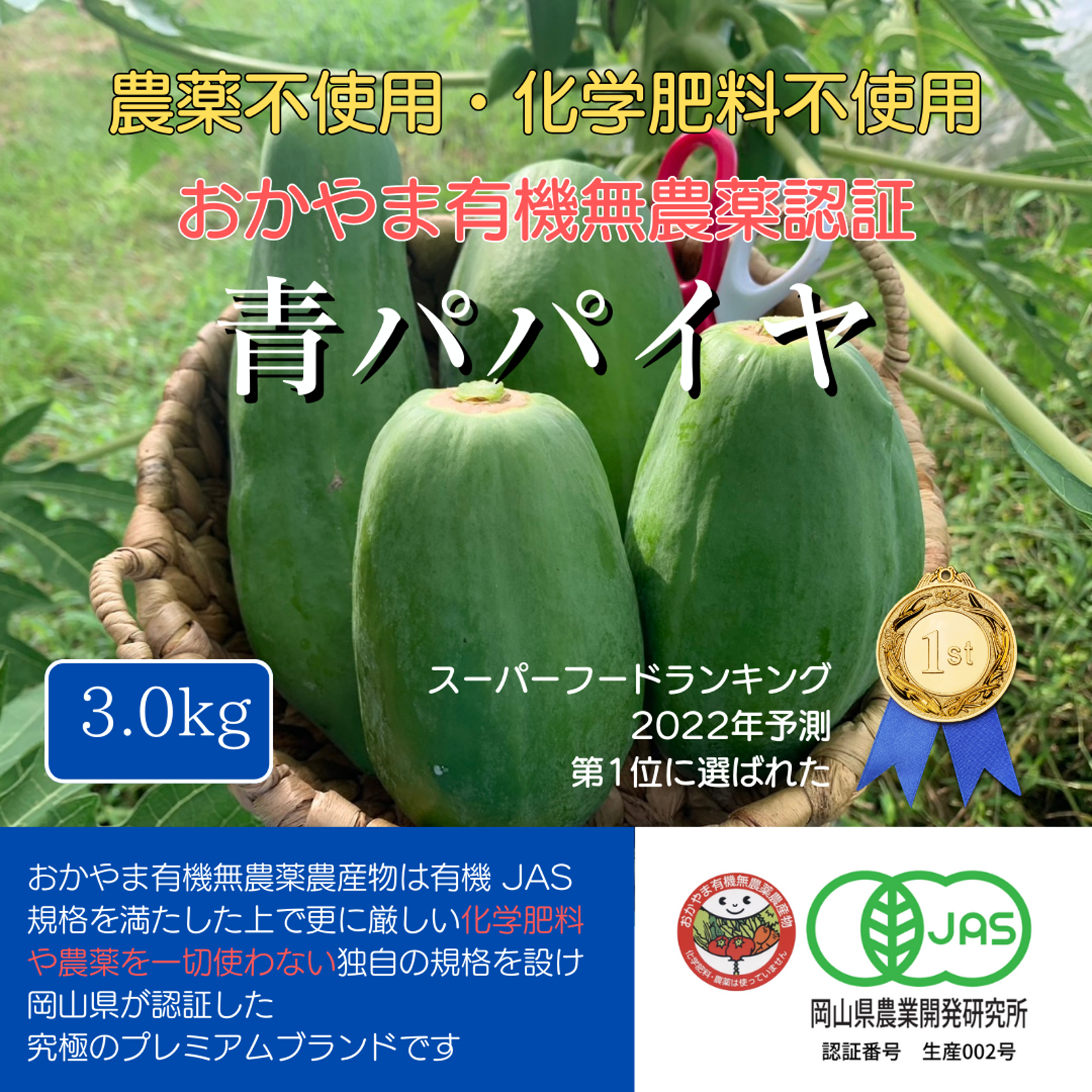 ぷぴ　茎２kg、実１kg　国産・高品質)乾燥パパイヤの茎（無農薬・有機肥料