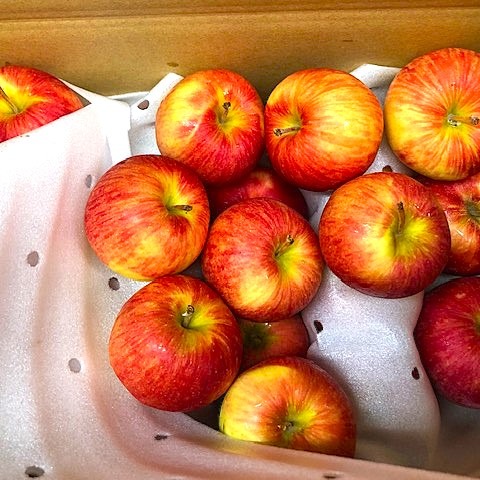 サンつがる・未希ライフ】詰め合わせ 約4.3kg | 果物/りんご 産直