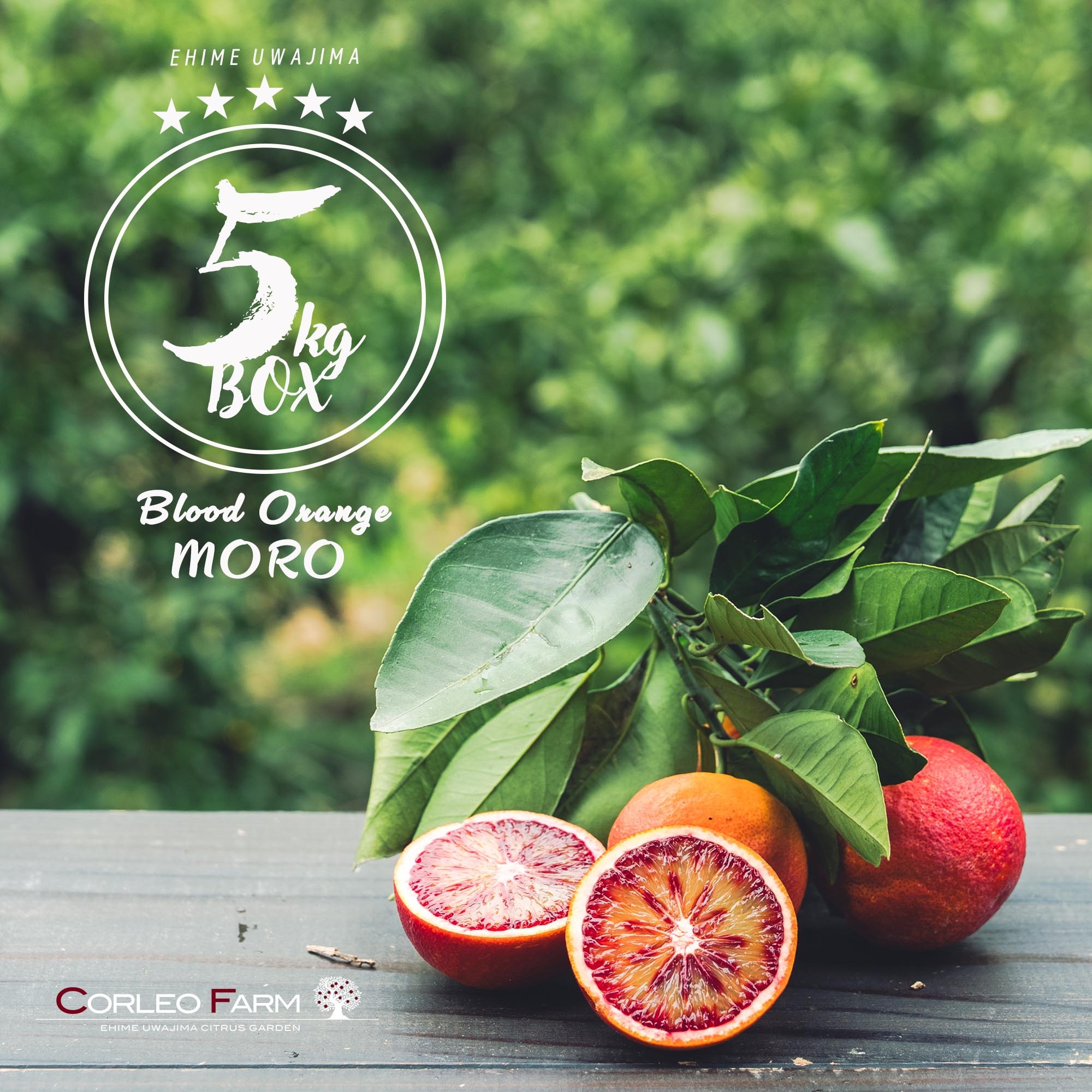 【ぱふ】ブラックベリー ウォーターメロン エージェントオレンジ 計30ml 農園イチオシ柑橘>【EHIME UWAJIMA】 ブラッドオレンジ〈モロ〉5kg