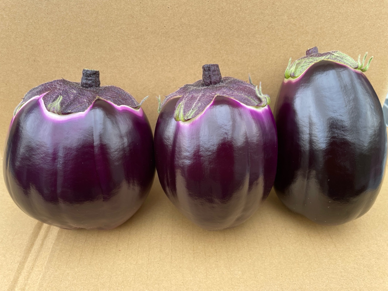 8bbc09ce4593d4c4daedd51c6d7e85