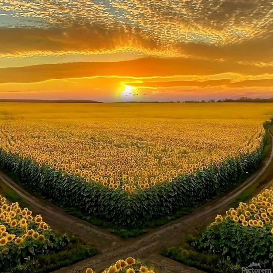 IMG 20240508 213015 3000 x 3000 pixel by Gemini5 Wall Art