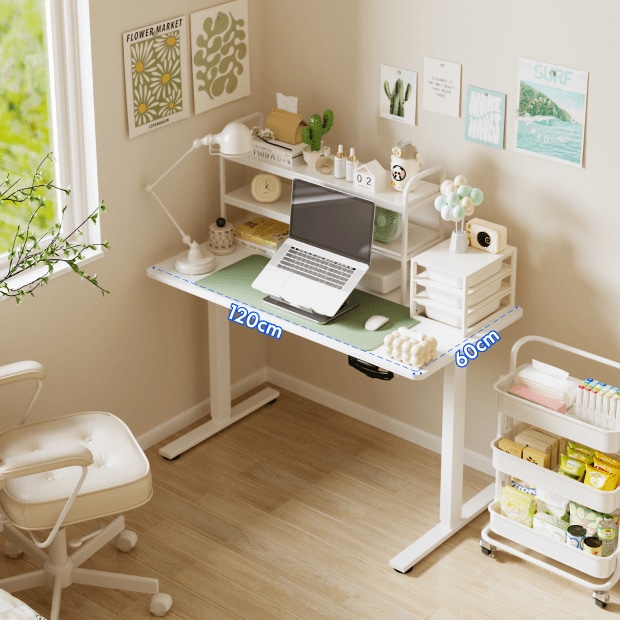 手動昇降式デスク・H1 | FlexiSpot 公式ストア