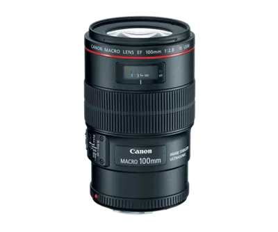 Canon EF 100mm f/2.8L Macro IS USM | Canon U.S.A., Inc.