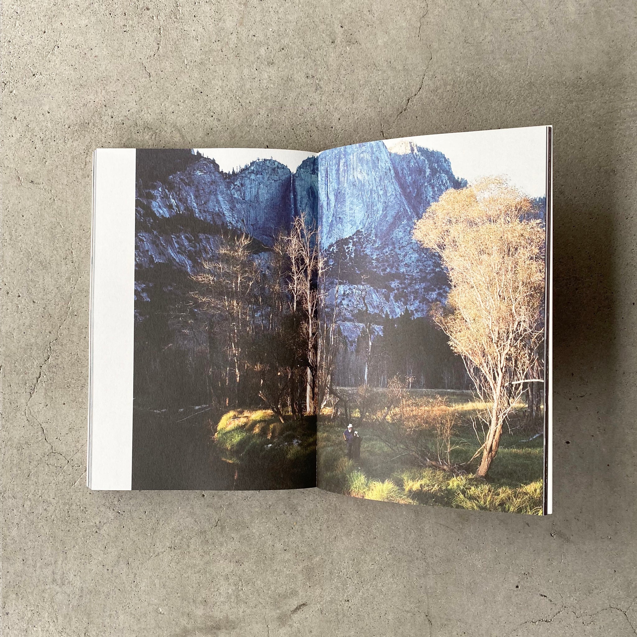 San Francisco Dream by Yoko Takahashi – Scooters For Peace