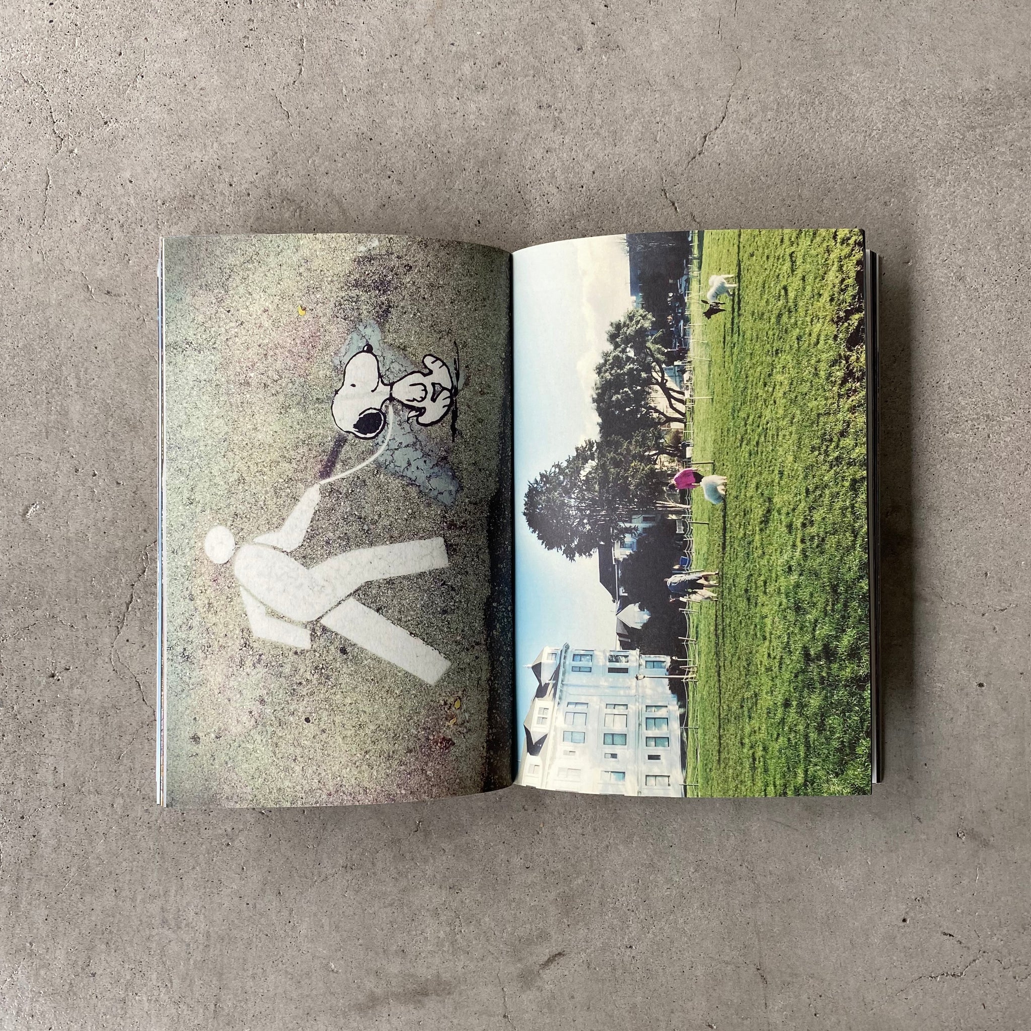 San Francisco Dream by Yoko Takahashi – Scooters For Peace