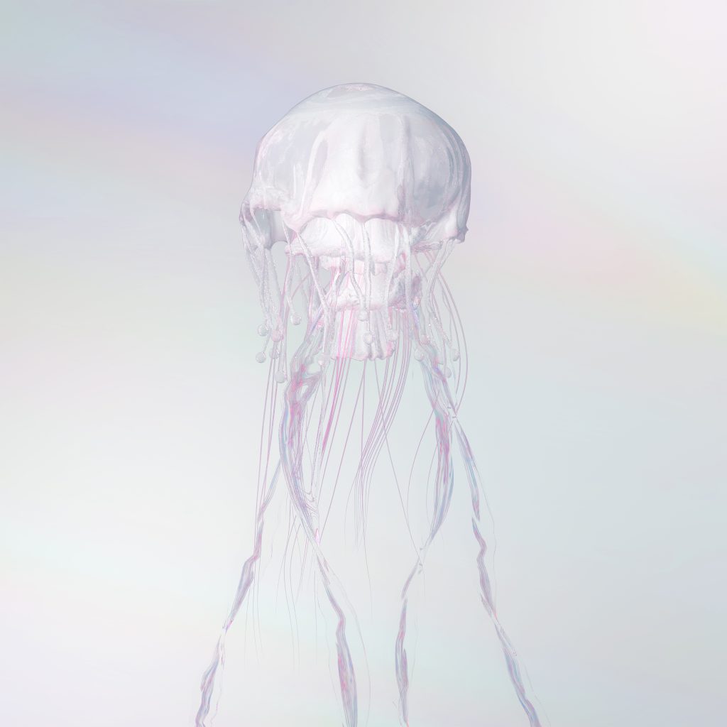 LUMINOUS（完全生産限定盤） – SCANDAL Official Website