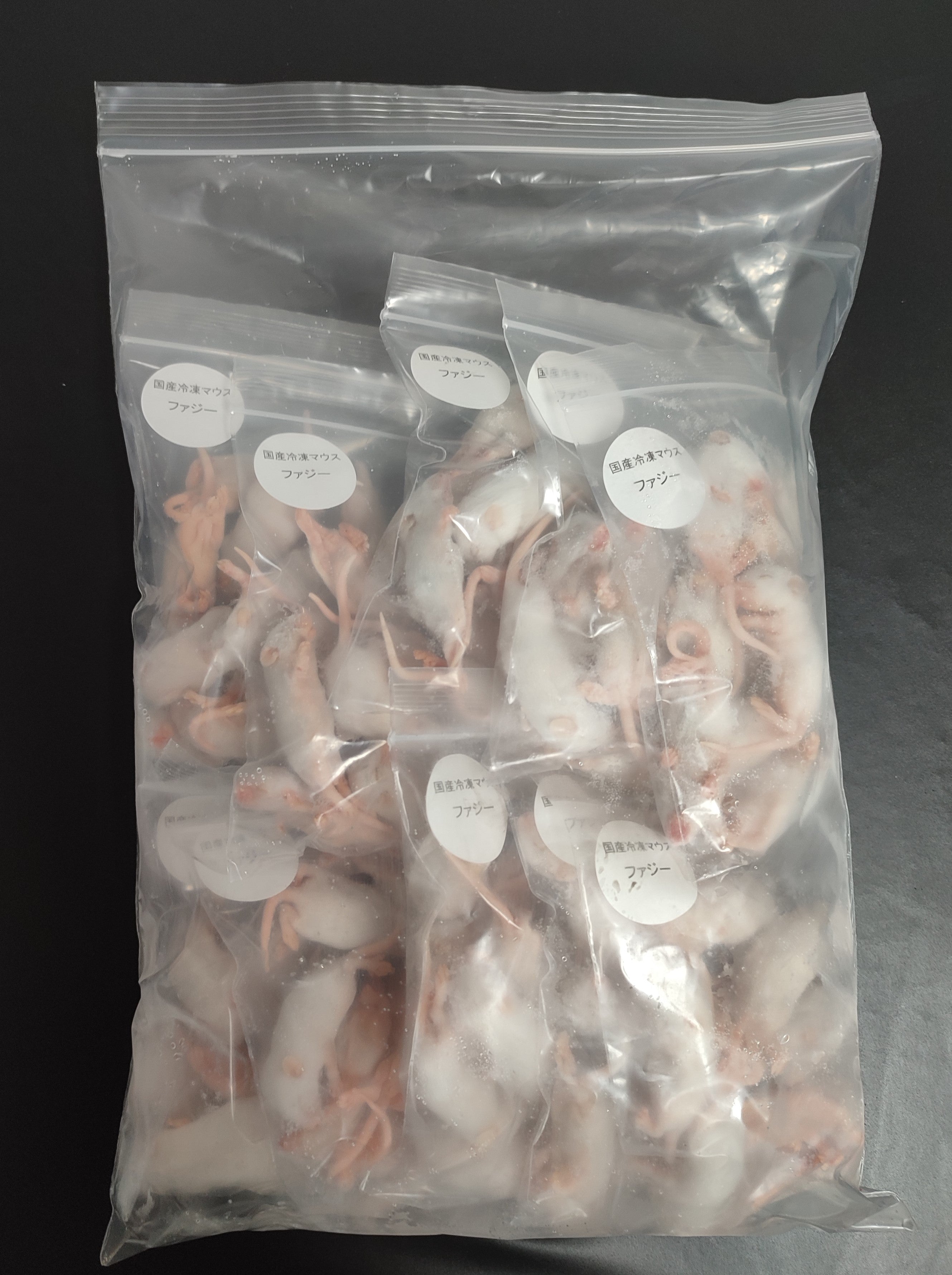 国産冷凍ファジーマウス 100匹入り – サイエンスファーム
