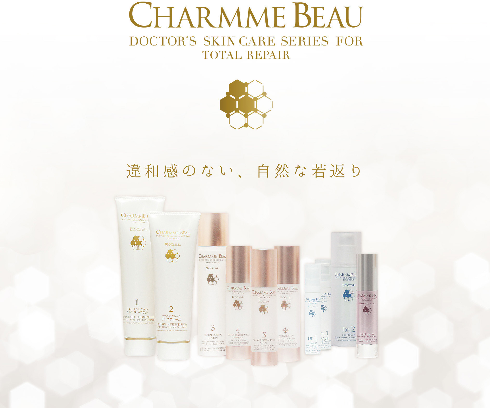 シャム・ボー美肌再生プログラム – scintiller