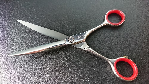 ハヤシ(hayashi scissors)カーブ(アール)シザー・メンテナンス | 理