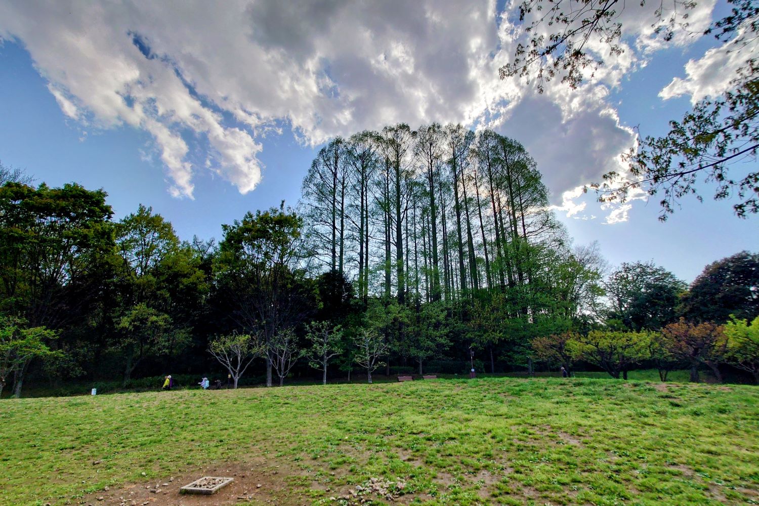 2025年度版】GWに行きたい！ 散歩の達人が選んだマイナーだけど