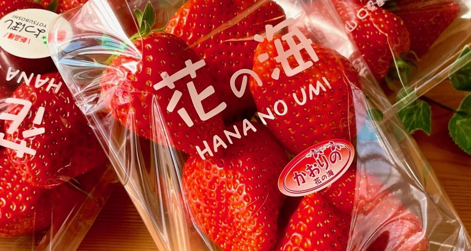 完熟いちご | さんようおのだ観光ナビ