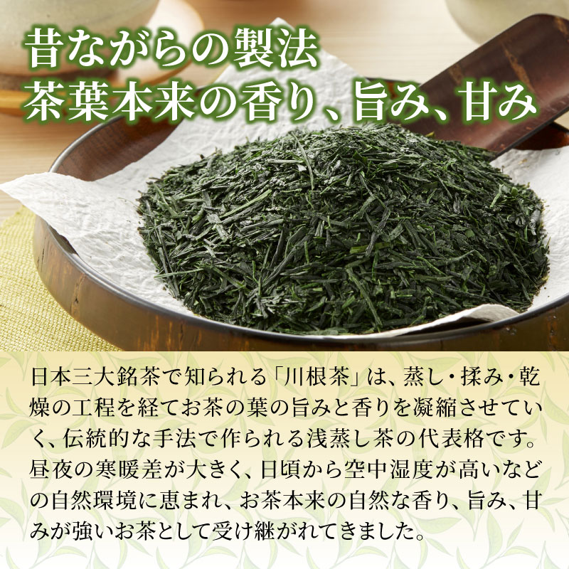 お徳用 静岡茶 川根茶 100g×6袋 | 大五グルメセレクション（静岡産直