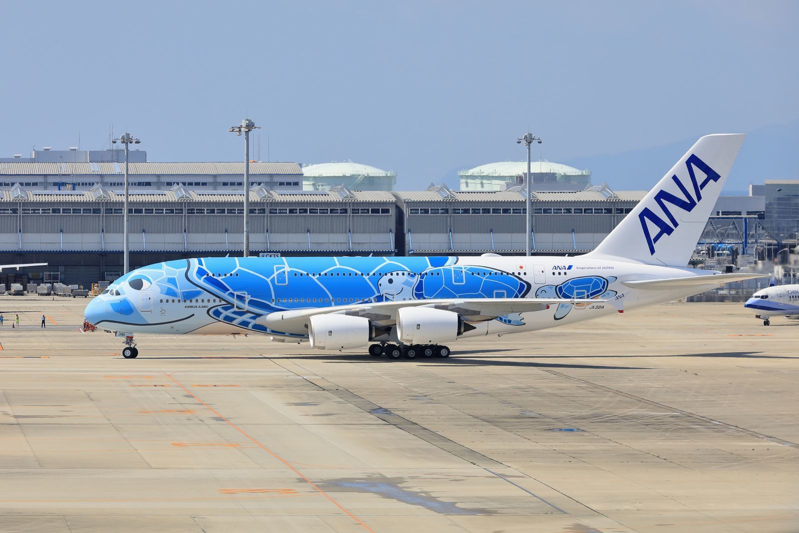 ANA A380「フライング ホヌ」を捕獲しに関空へ！: 山河彩時記