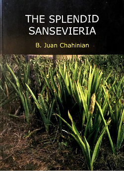 The Splendid Sansevieria | International Sansevieria Society
