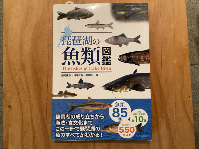2024年に発売された＜淡水魚の本＞おすすめ7選！ 川・湖のサカナの魅力