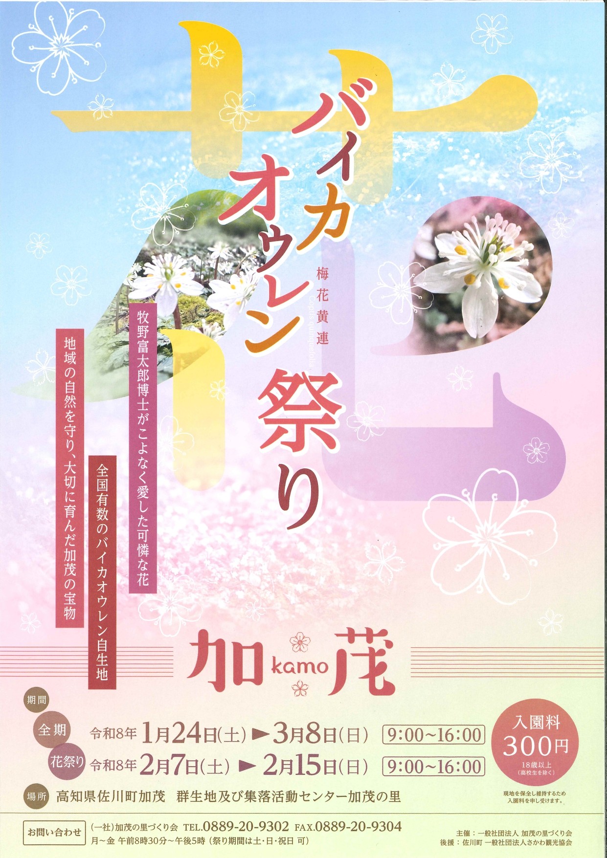 イベント | さかわのしおり［オフィシャル］さかわ観光協会