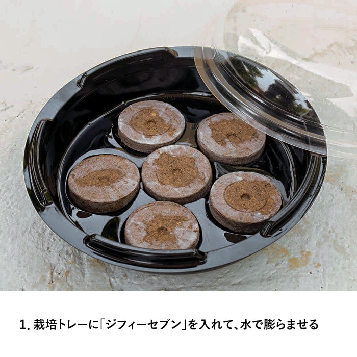 はじめてさんの かんたんタネまきキット｜種（タネ）,球根,苗,資材