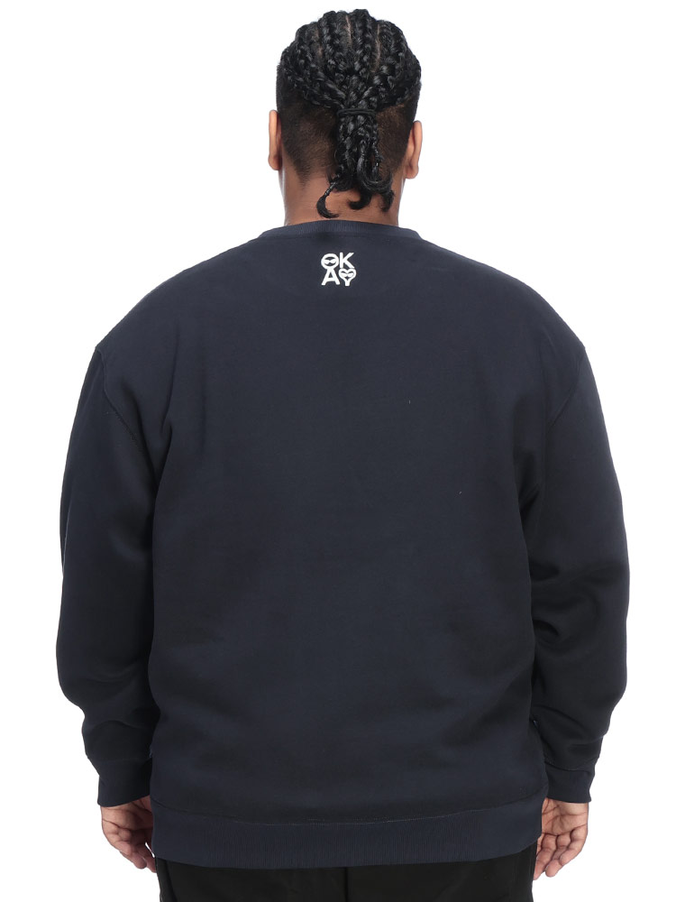 スウェットトレーナー フロントプリント 裏起毛 トップス 大きいサイズ