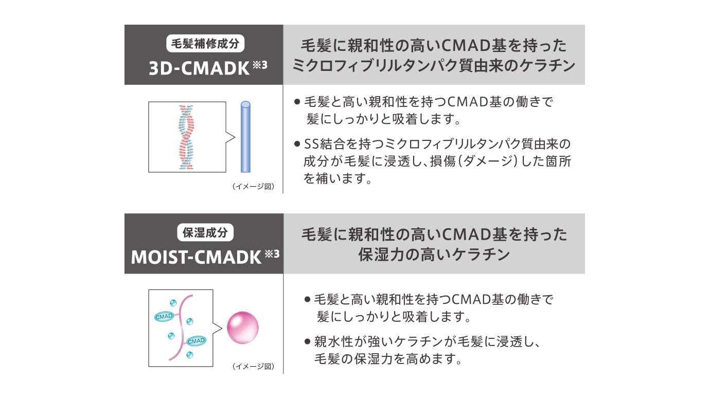 オージュア アルティール シャンプー 250mL(250mL オージュア アル