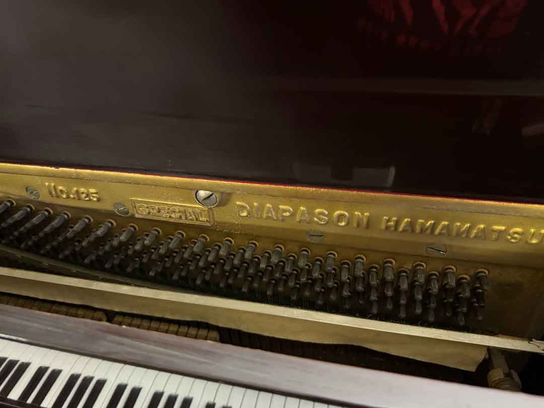 DIAPASON No.125 SPECIAL - 埼玉ピアノ