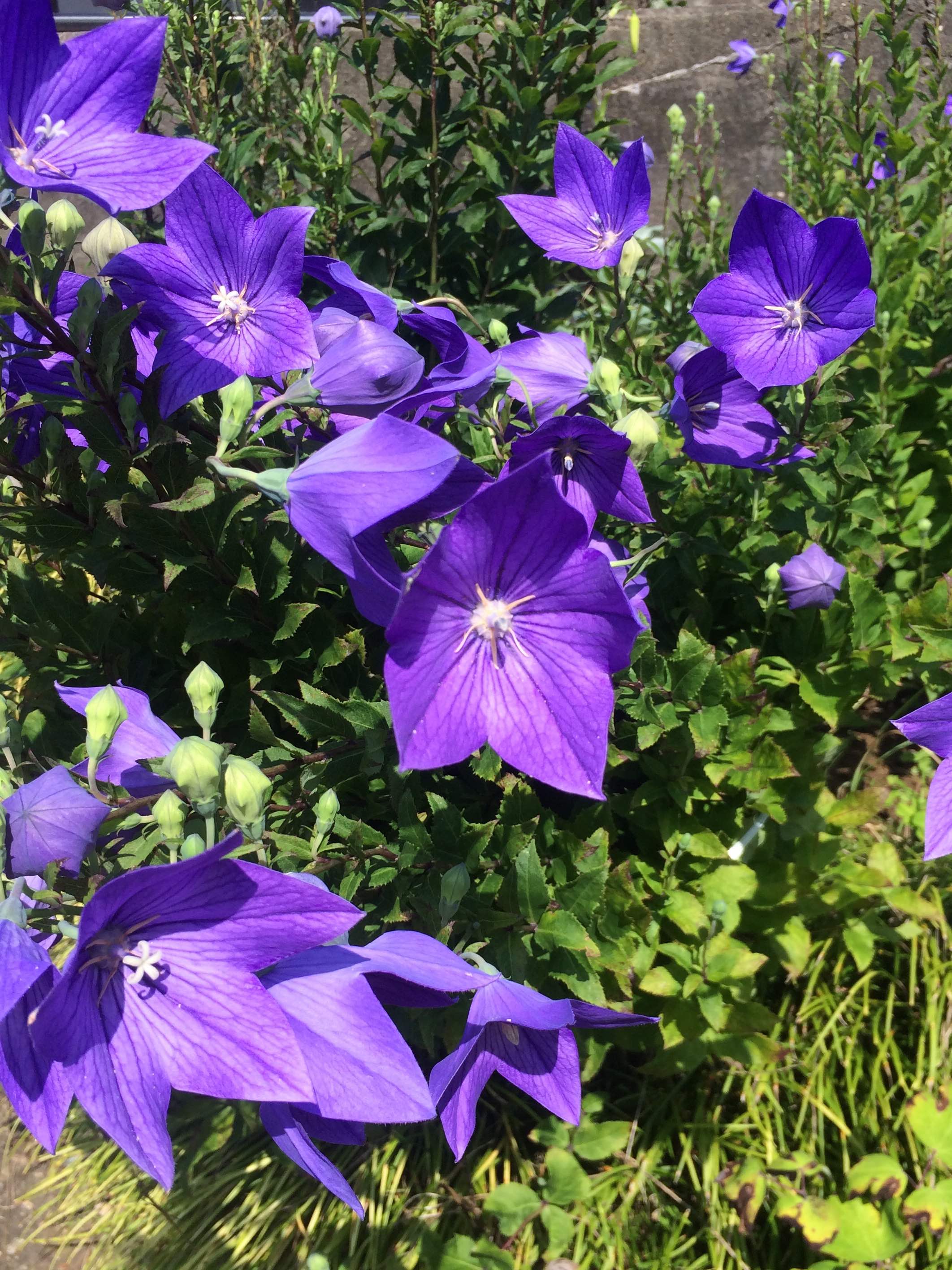 e84316ca43cd529d9c559c52b47daa