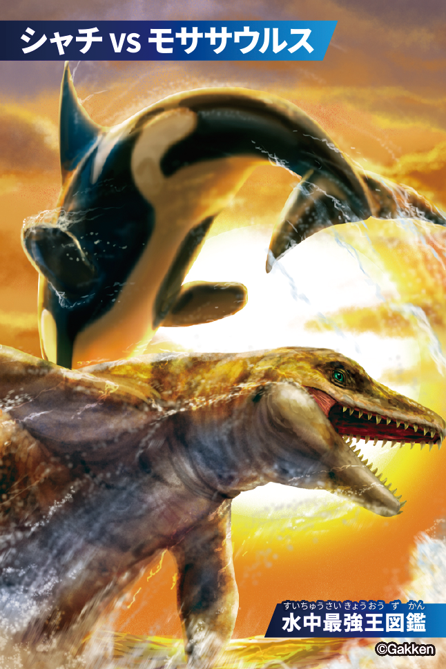 最強王図鑑カードグミ ｜ 最強王図鑑公式サイト