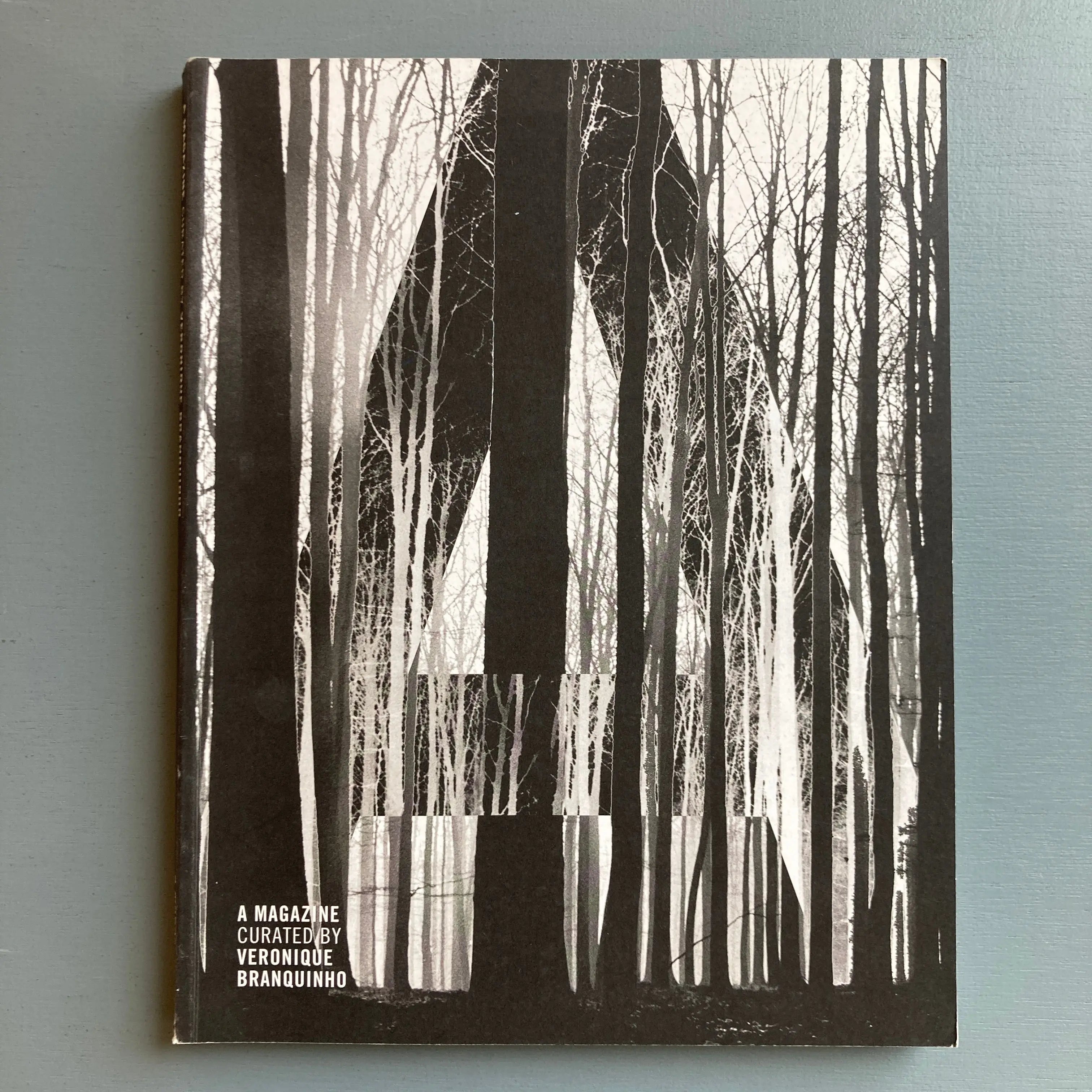 A Magazine curated by - Veronique Branquinho n°6 - Saint-Martin