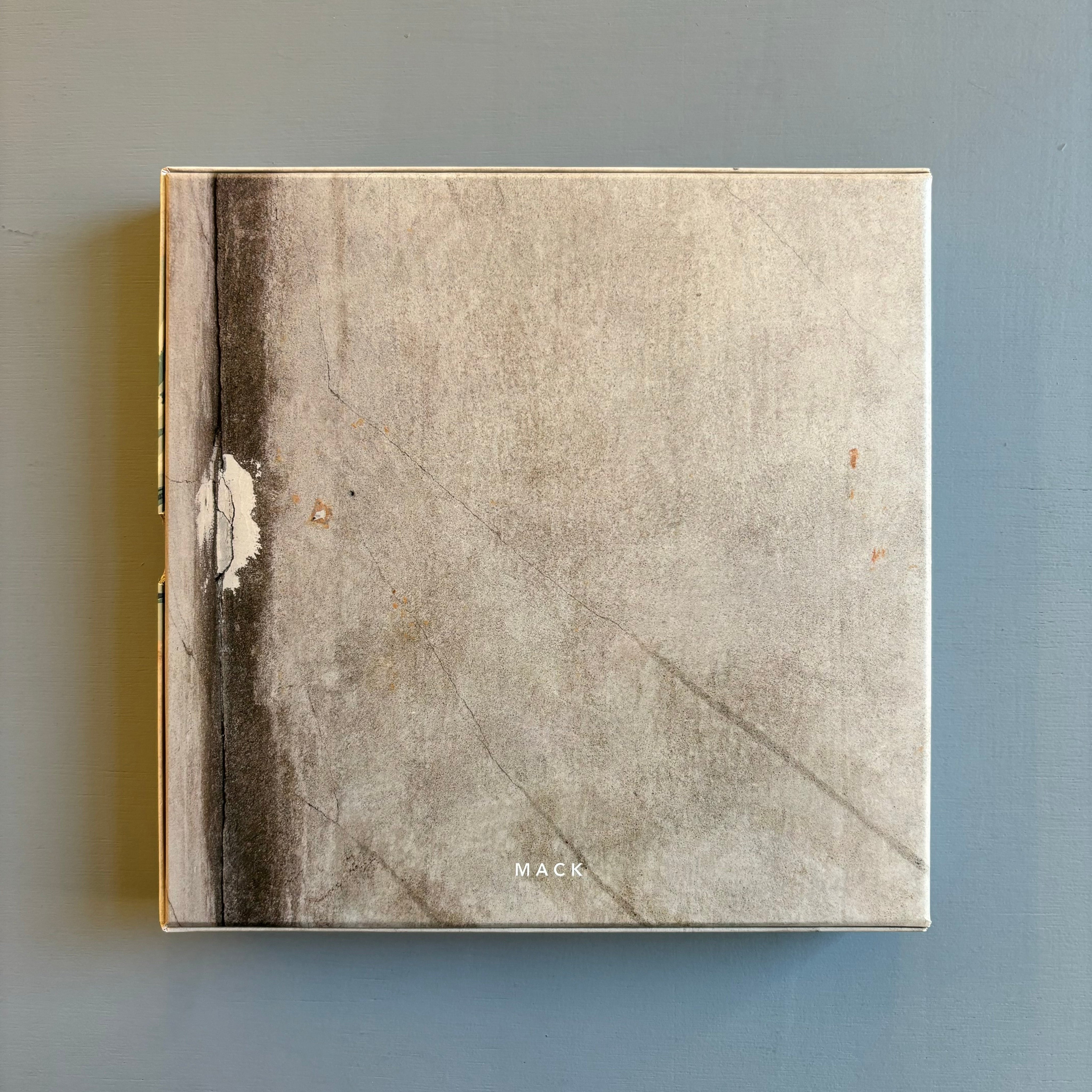 Alec-Soth-Gathered-Leaves-Mack