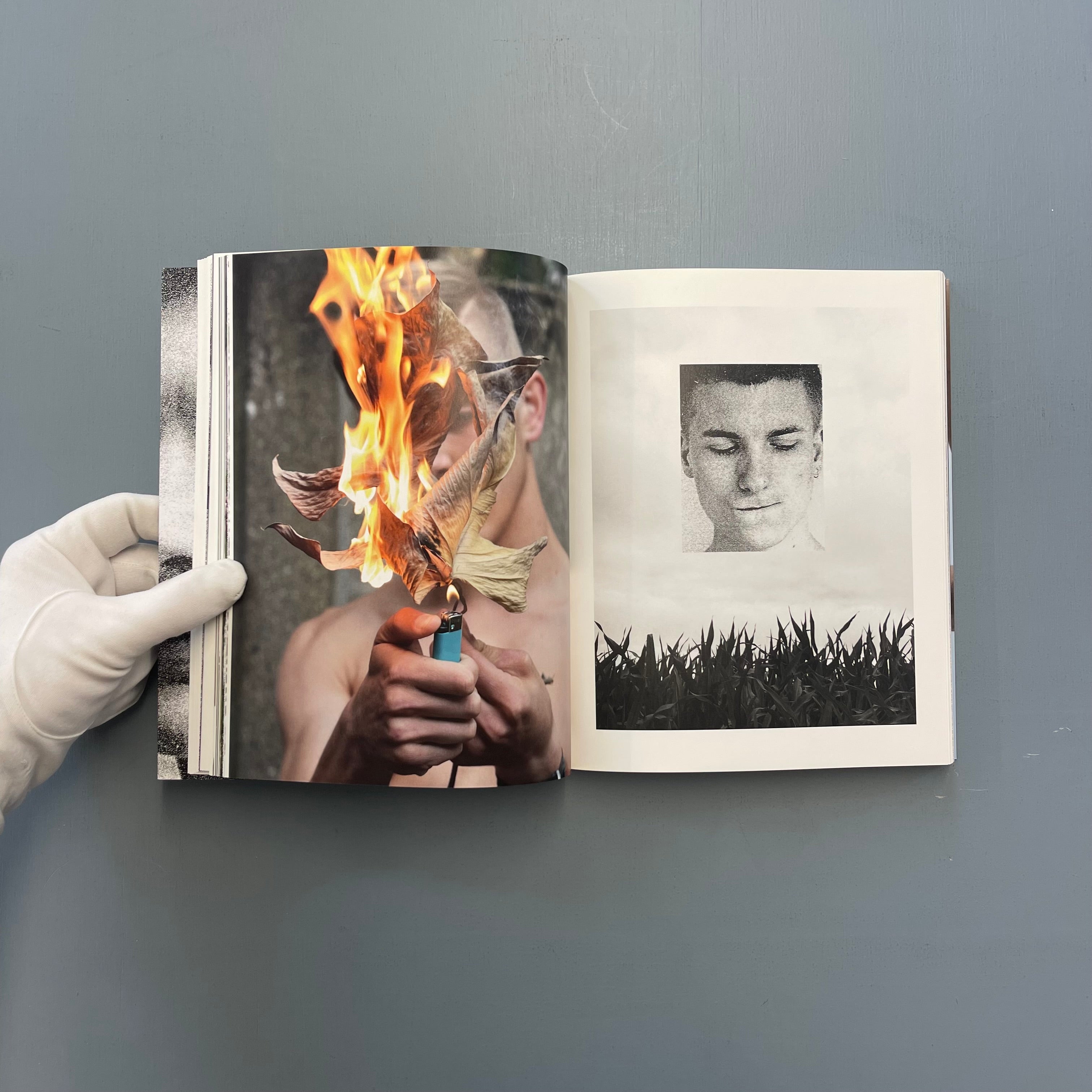 Peter De Potter - The Vanity of Certain Flowers (with signed print