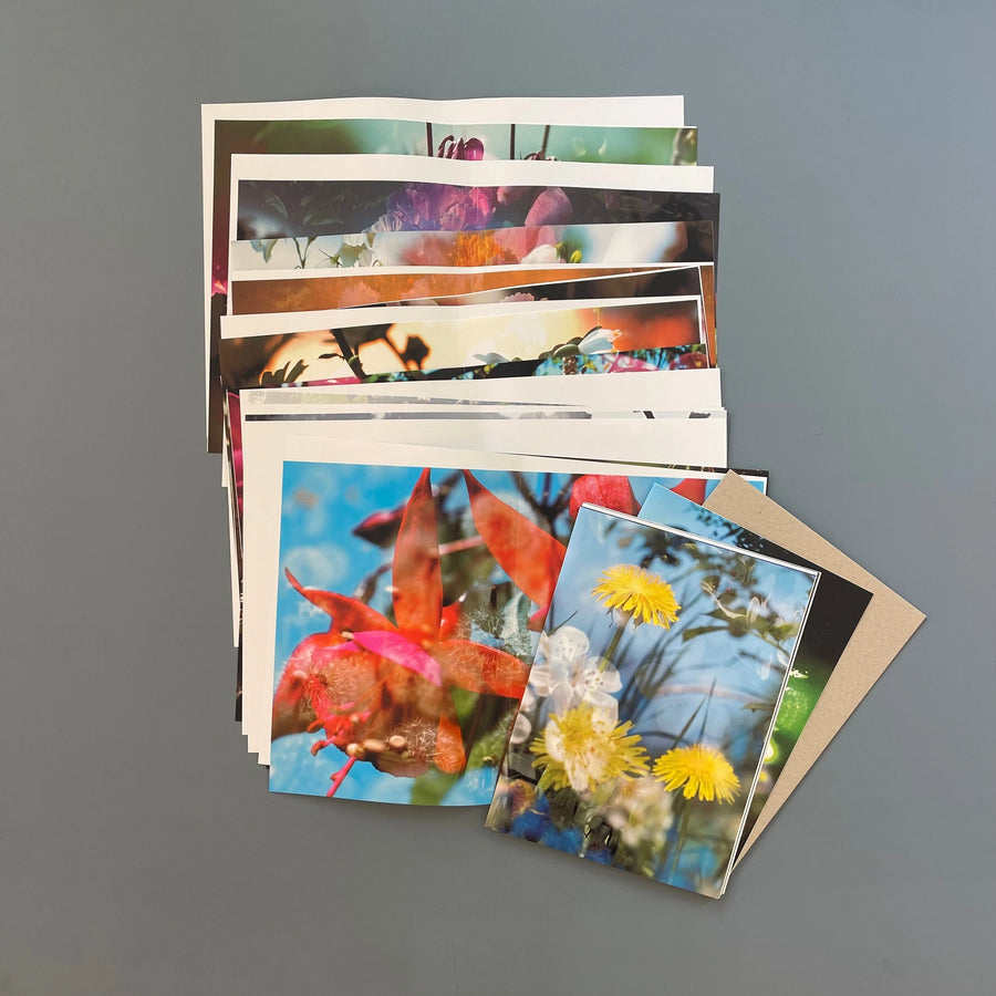 Peter Fischli, David Weiss Musée d'Art Moderne de la Ville de