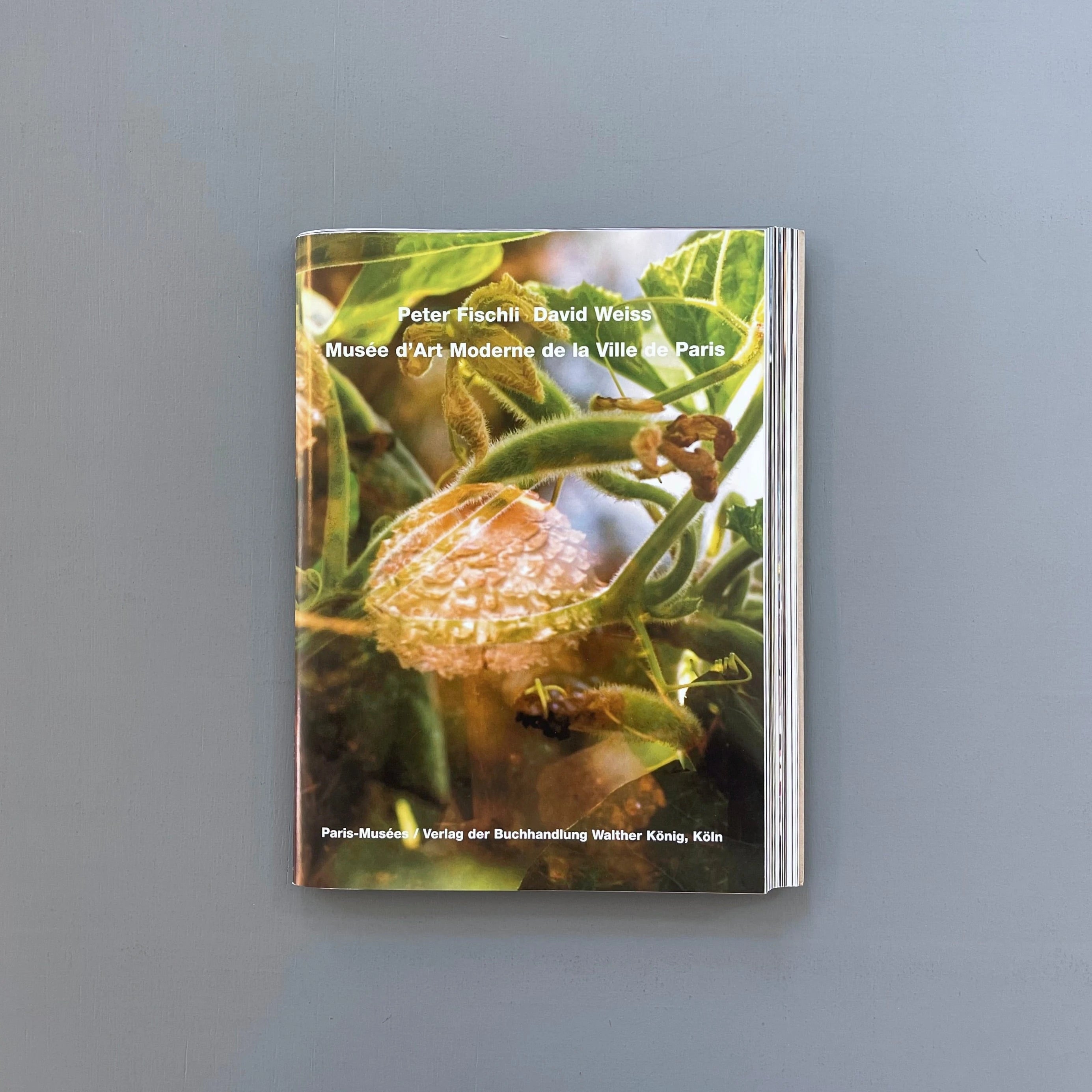 Peter Fischli, David Weiss Musée d'Art Moderne de la Ville de