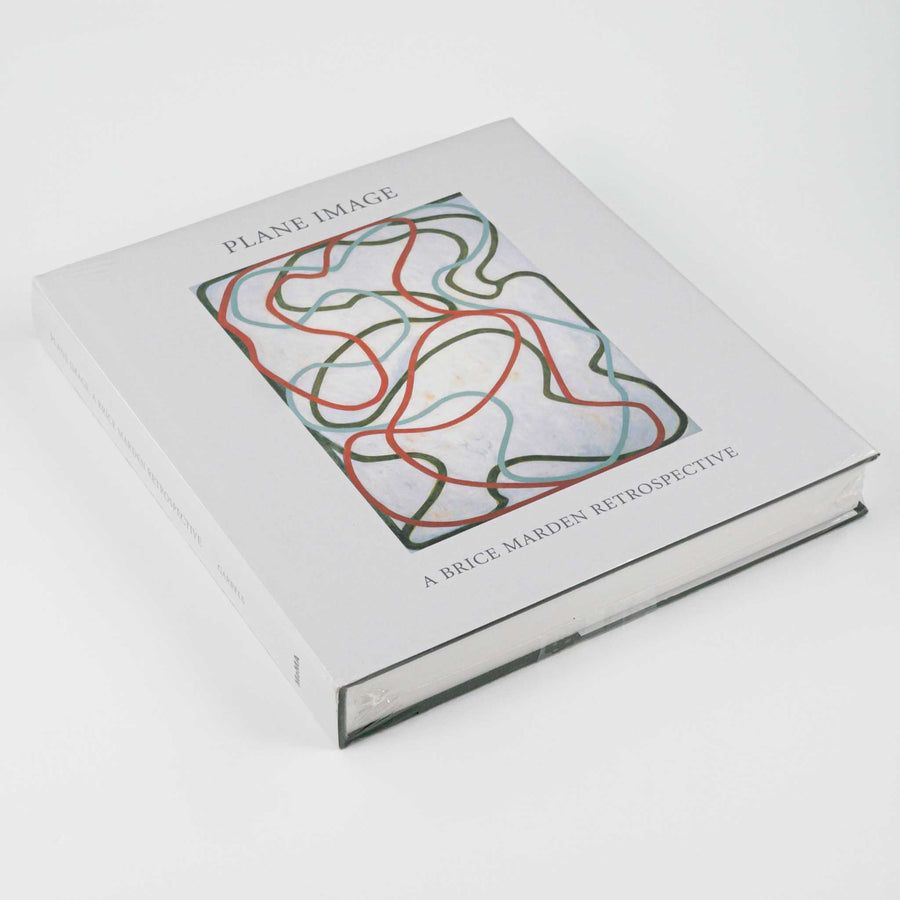 Plane Image: A Brice Marden Retrospective – Saint Page