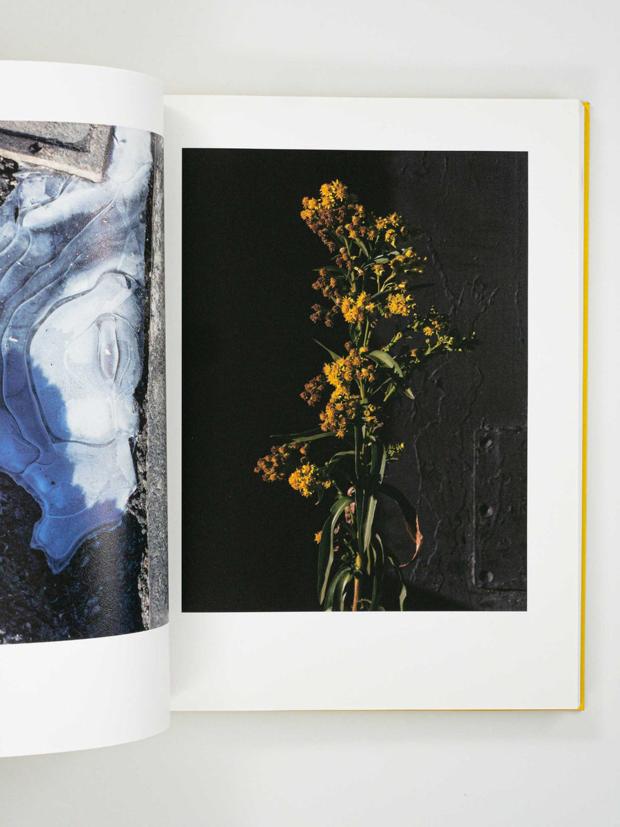 DAVID BRANDON GEETING | Neighborhood Stroll – Saint Page