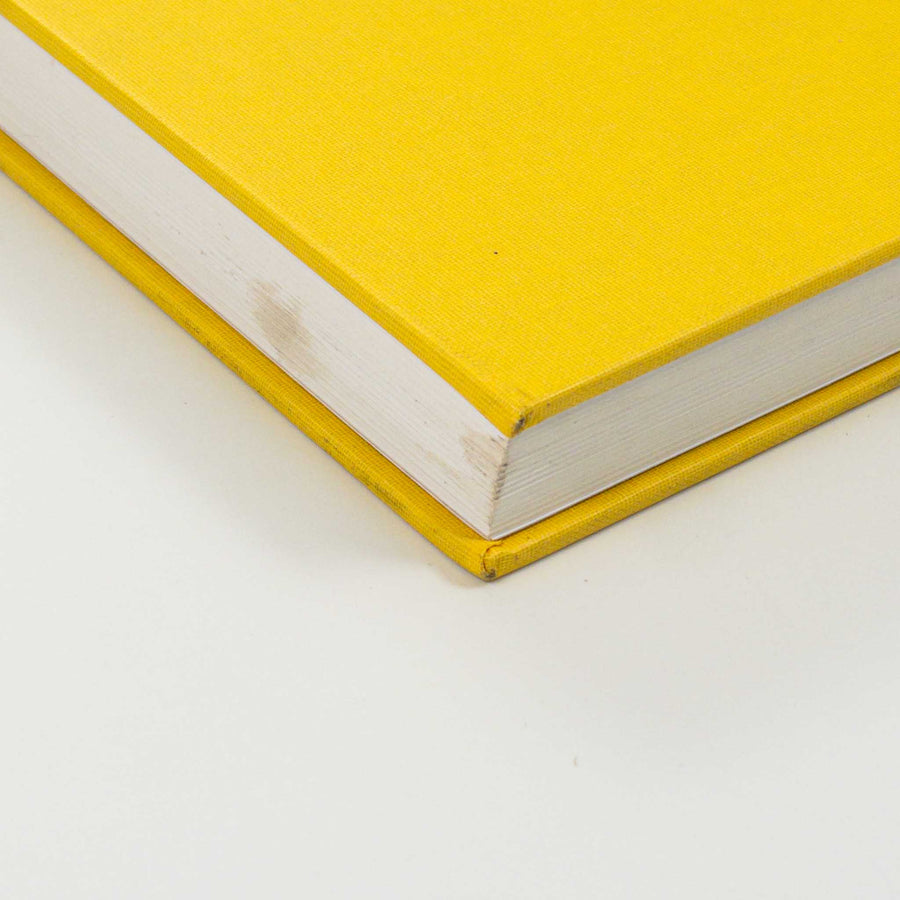 DAVID BRANDON GEETING | Neighborhood Stroll – Saint Page