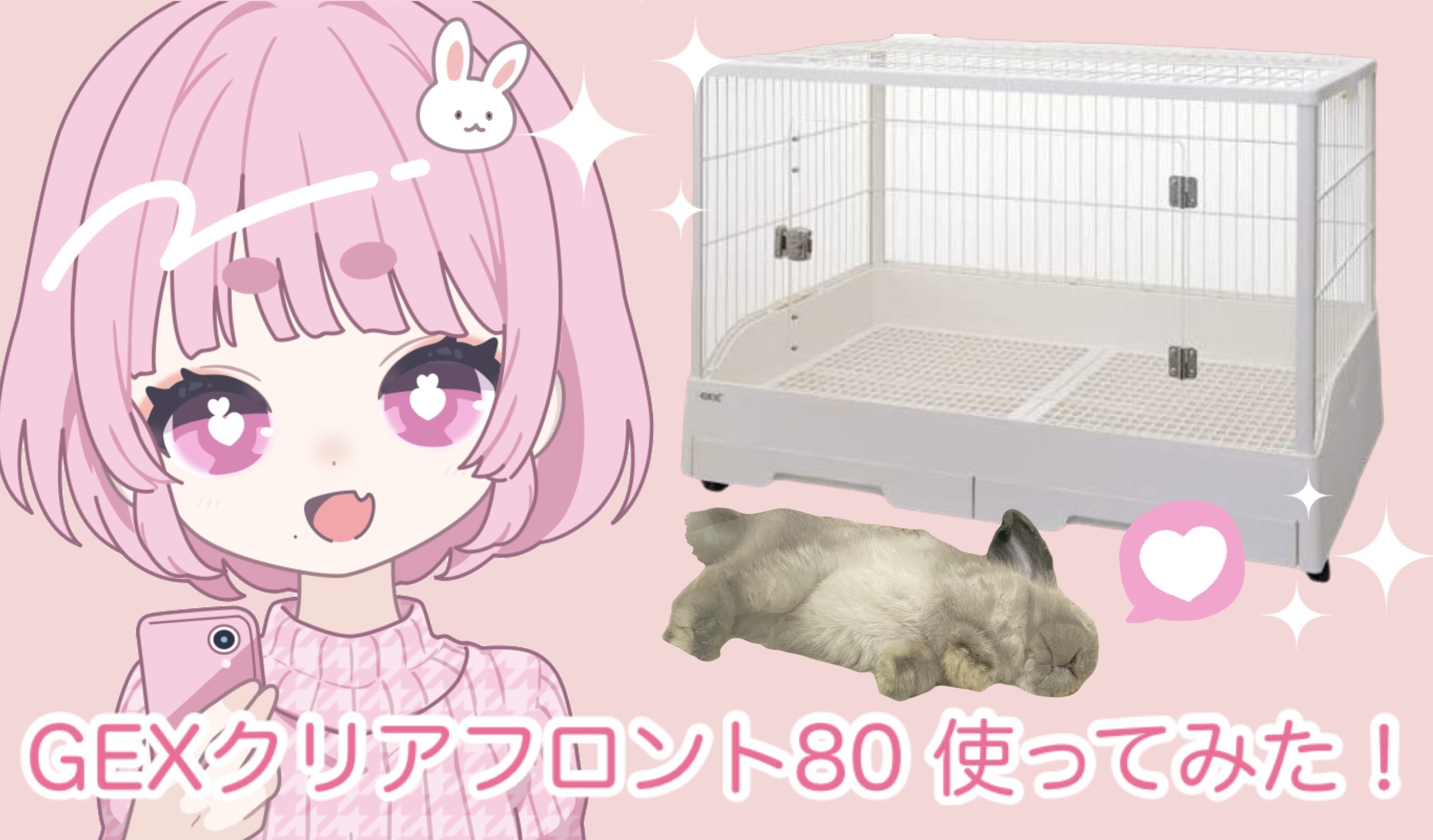 GEX クリアフロント80 レビュー。うさぎさんのケージならこれ！ - さと