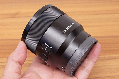 SEL50M28 レンズレビュー 作例付き・実機で解説！｜ソニーショップさとうち