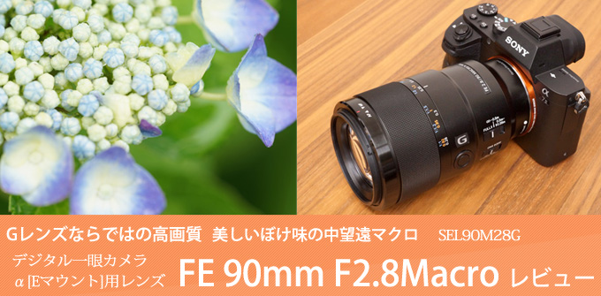 SEL90M28G レンズレビュー 作例付き・実機で解説！｜ソニーショップ