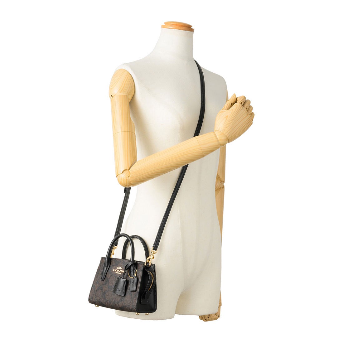 コーチ COACH ショルダーバッグ アンドレア ミニ キャリーオール CO975