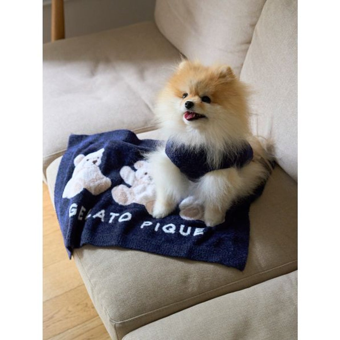 ジェラートピケ gelato pique 【CAT&DOG】ベアジャガードブランケット