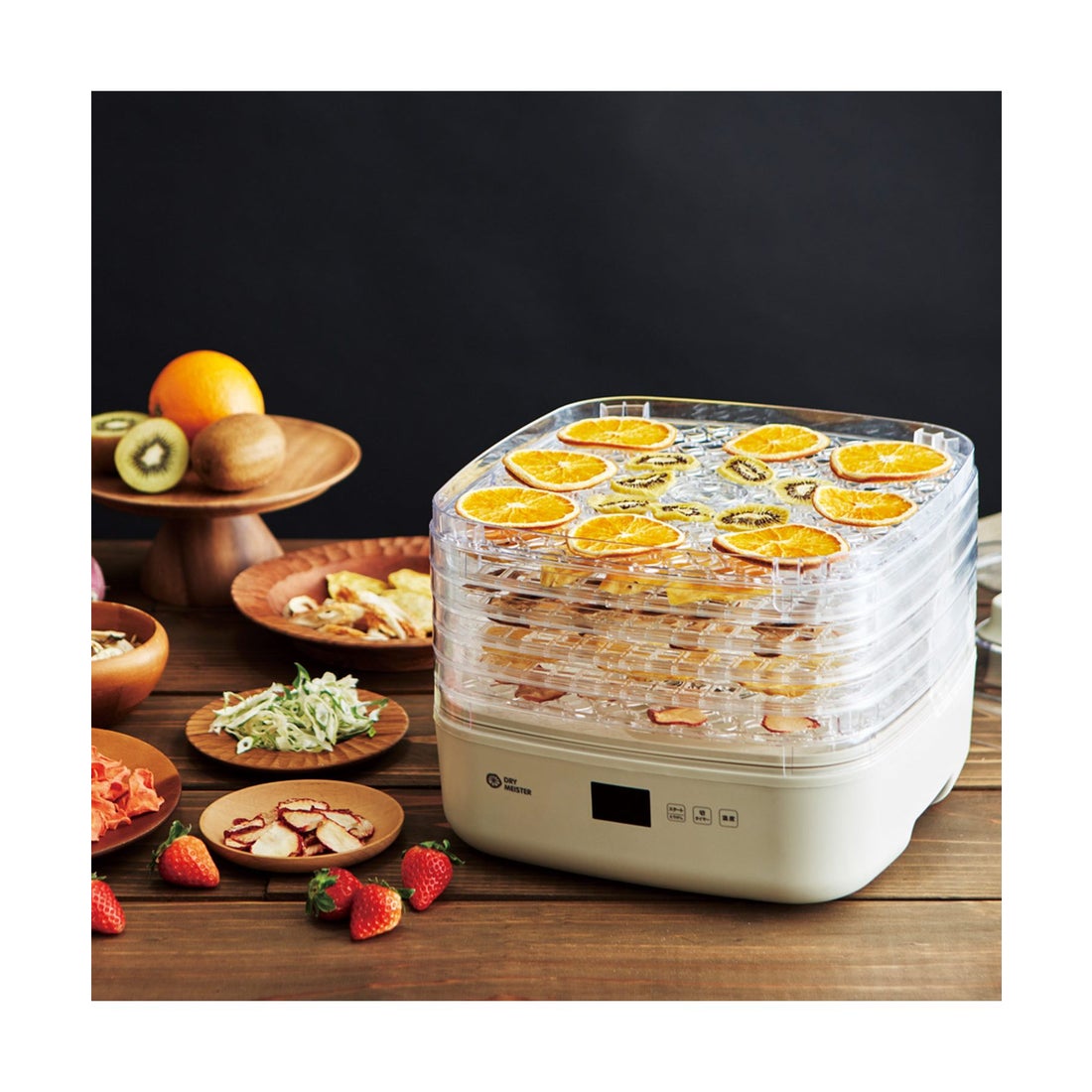 アピックスインターナショナル APIX INTL フードドライヤー