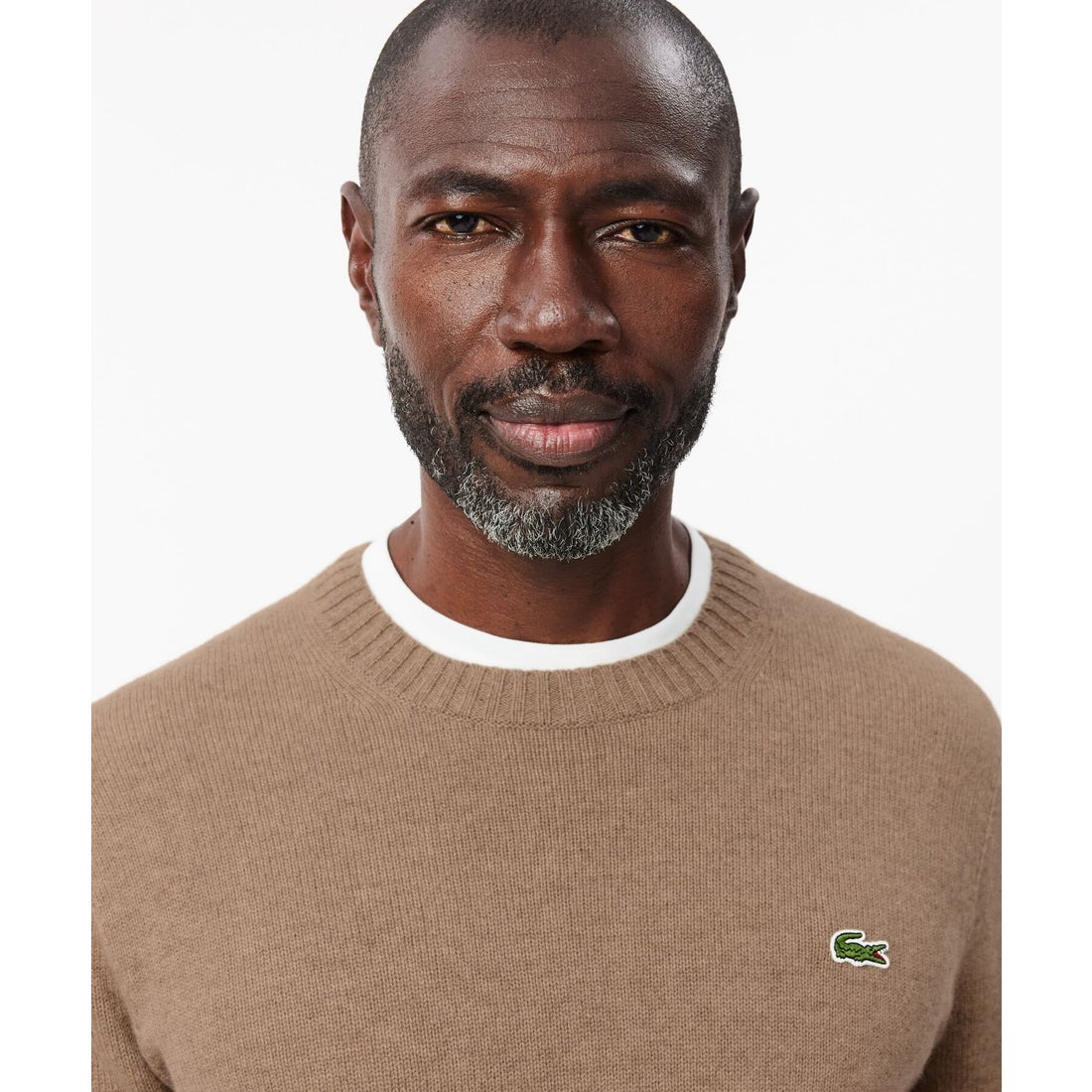 ラコステ LACOSTE エッセンシャルカシミヤニットセーター（ライト