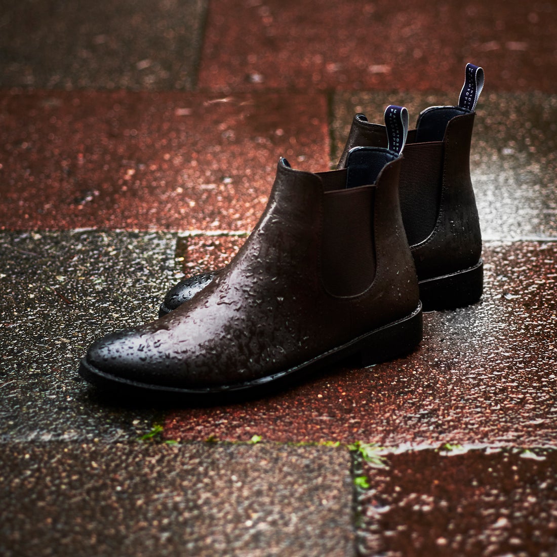 マッキントッシュ フィロソフィー MACKINTOSH PHILOSOPHY 【CARDIFF