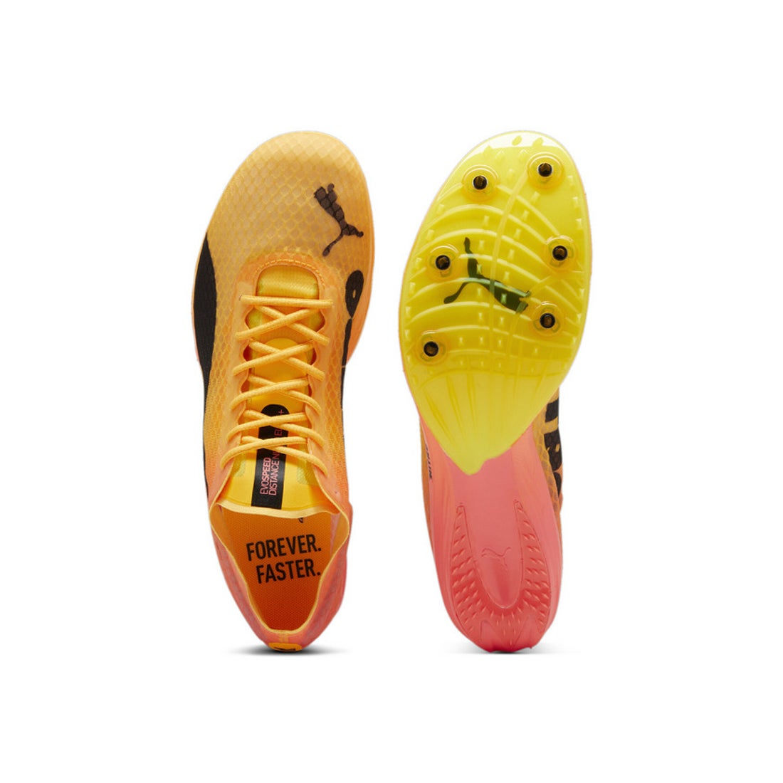 プーマ PUMA ユニセックス エヴォスピード ディスタンス ニトロ