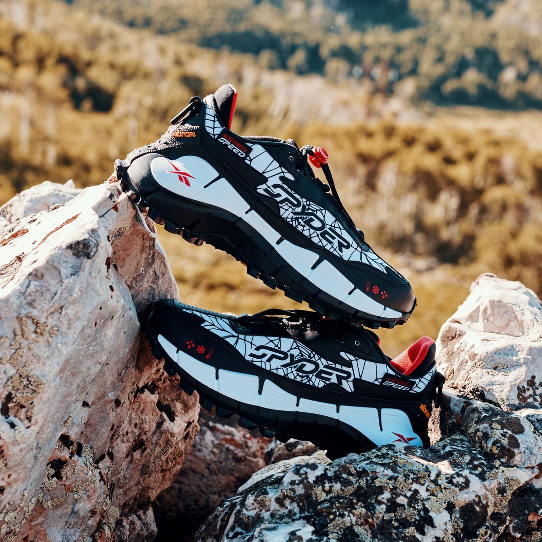 スパイダー ジグ キネティカ 2.5 エッジ / SPYDER ZIG KINETICA 2.5