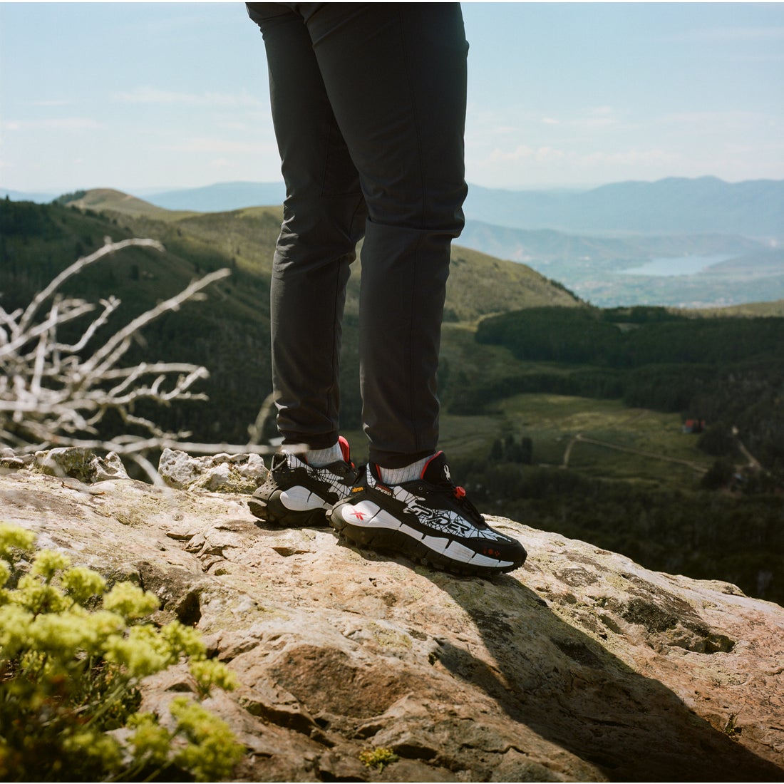 スパイダー ジグ キネティカ 2.5 エッジ / SPYDER ZIG KINETICA 2.5