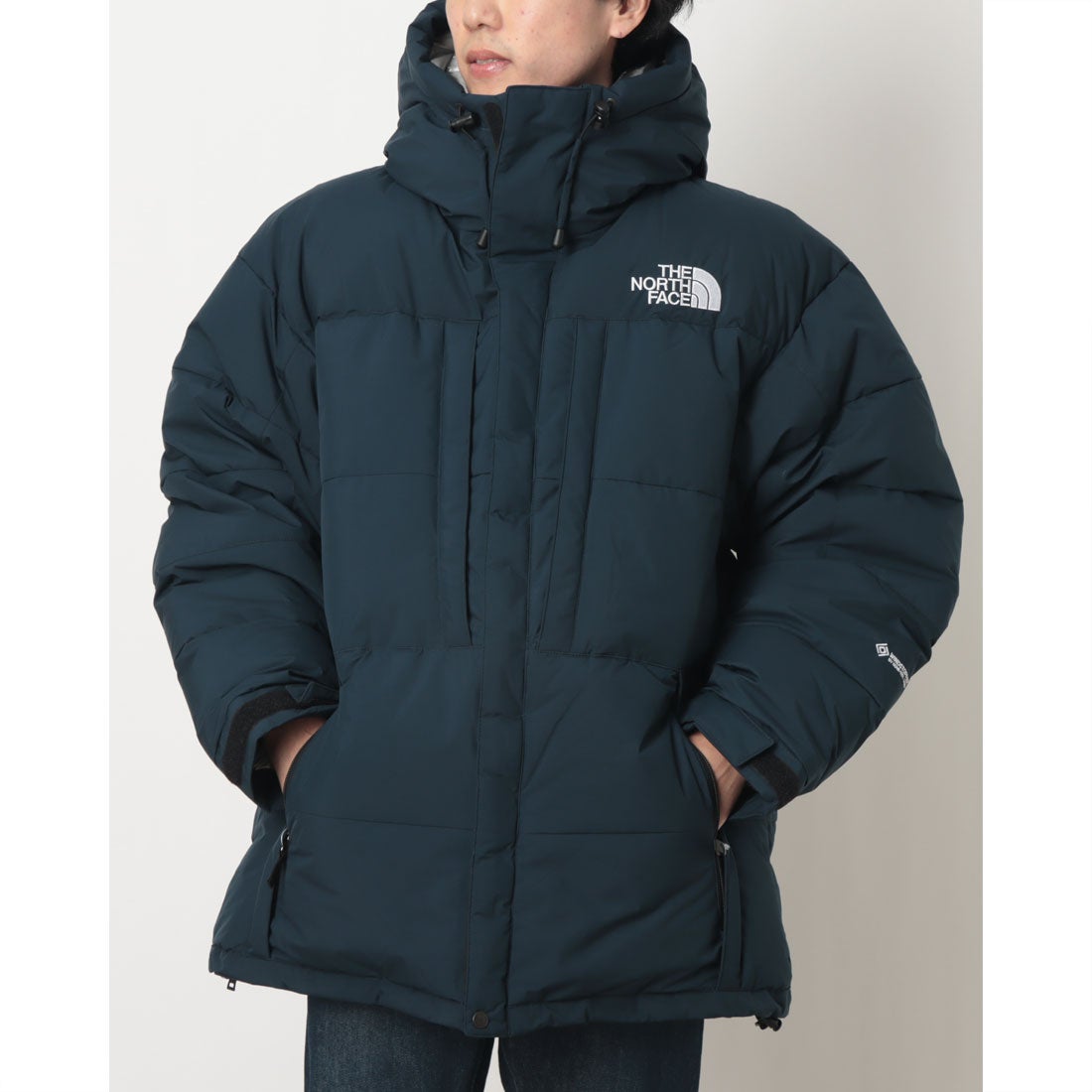 ザ・ノース・フェイス THE NORTH FACE アウトドアカジュアル ダウン