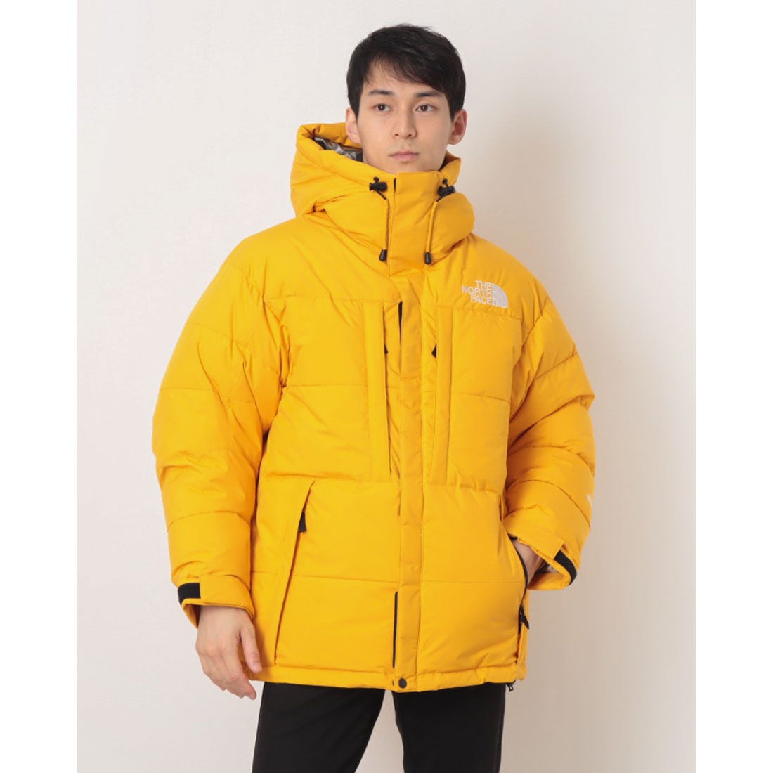 ザ・ノース・フェイス THE NORTH FACE アウトドアカジュアル ダウン